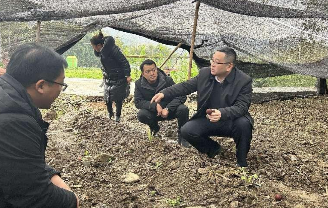 统战人物