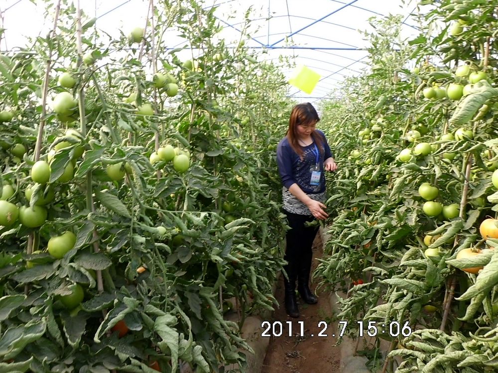 美狮贵宾会ms092