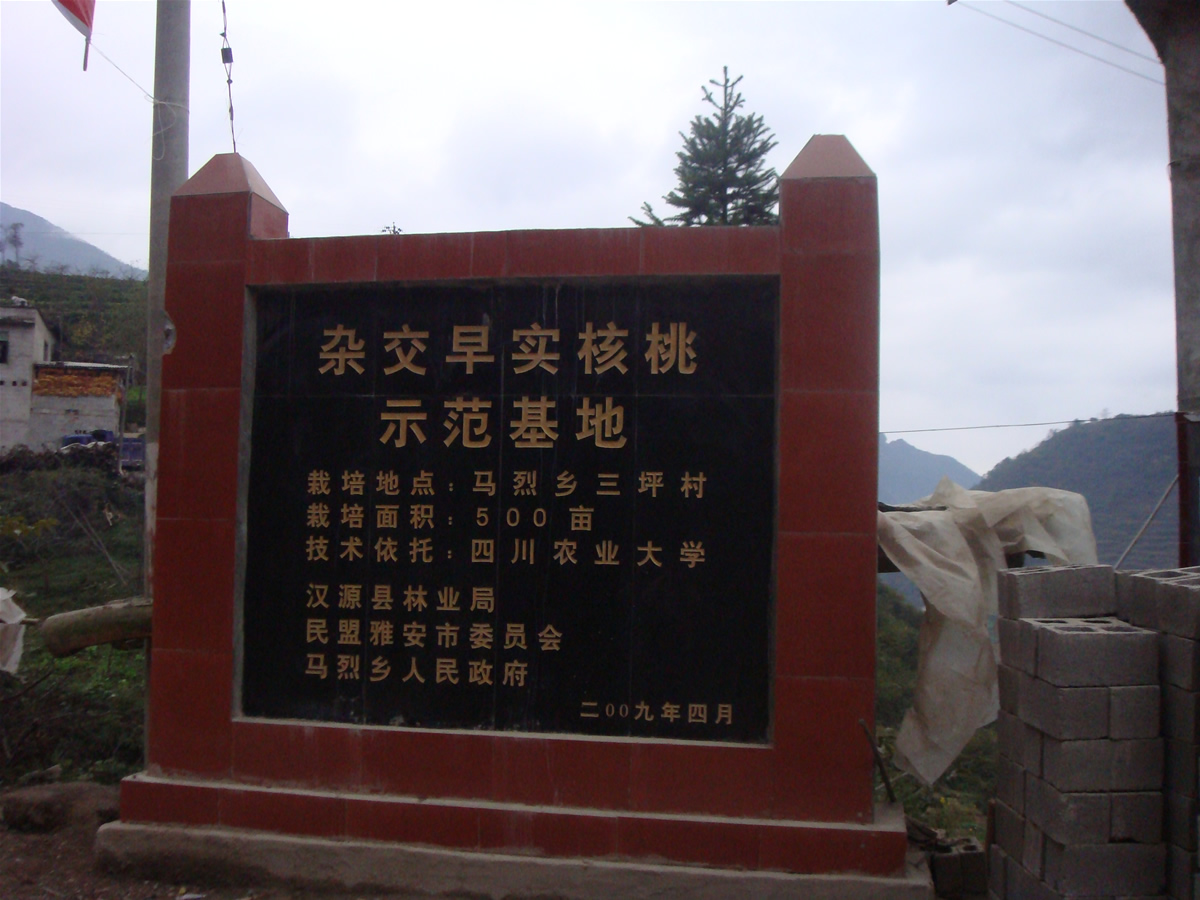 美狮贵宾会ms092