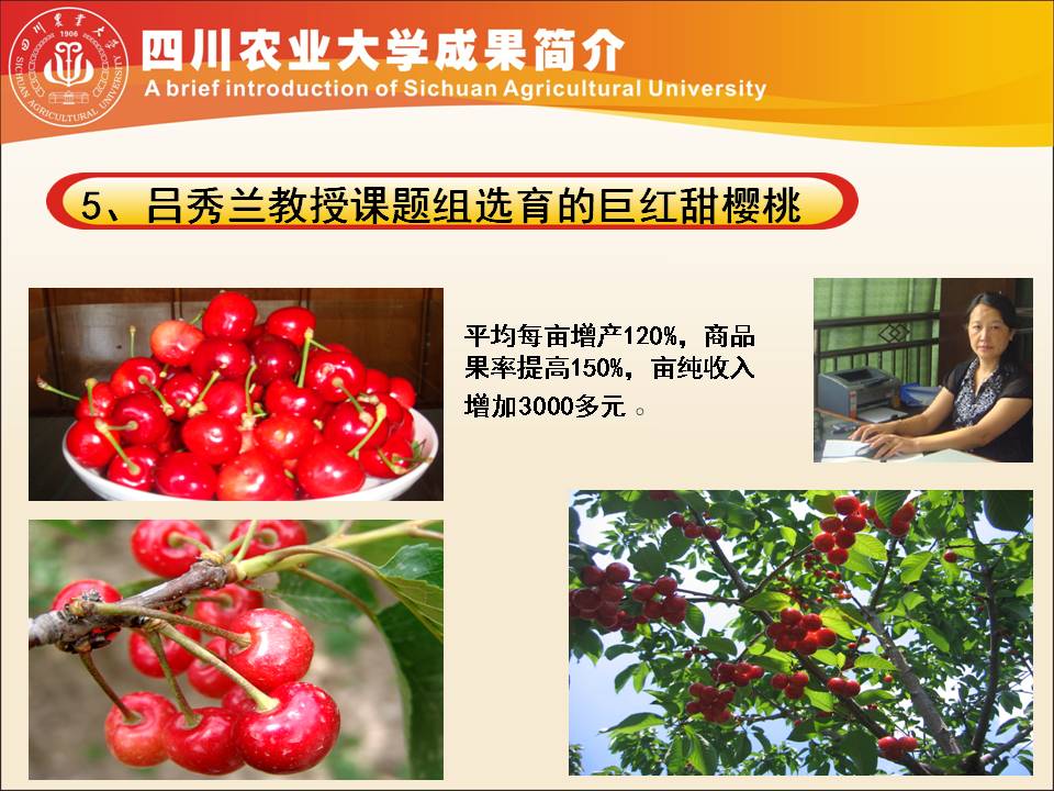 美狮贵宾会ms092