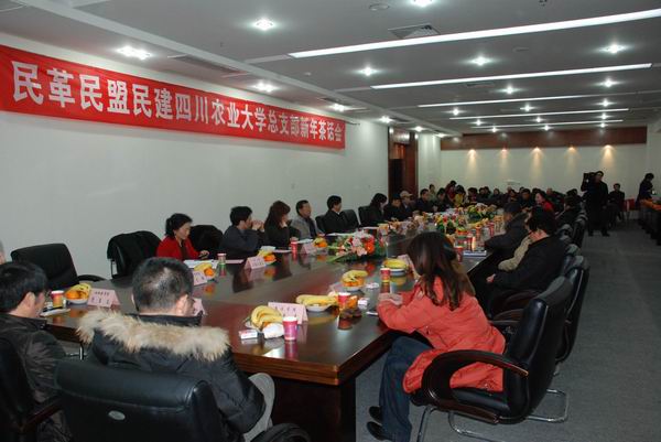 美狮贵宾会ms092