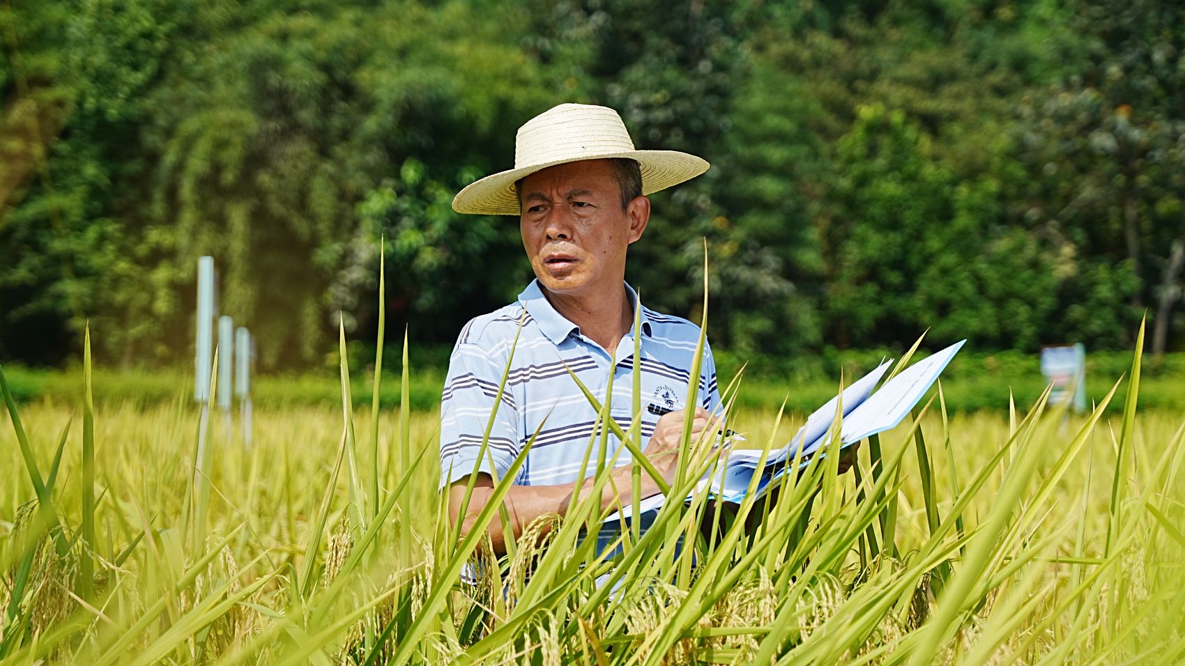 统战人物