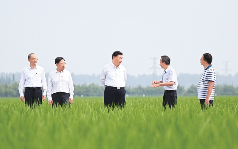 习近平:加快建设农业强国 推进农业农村现代化「相关图片」