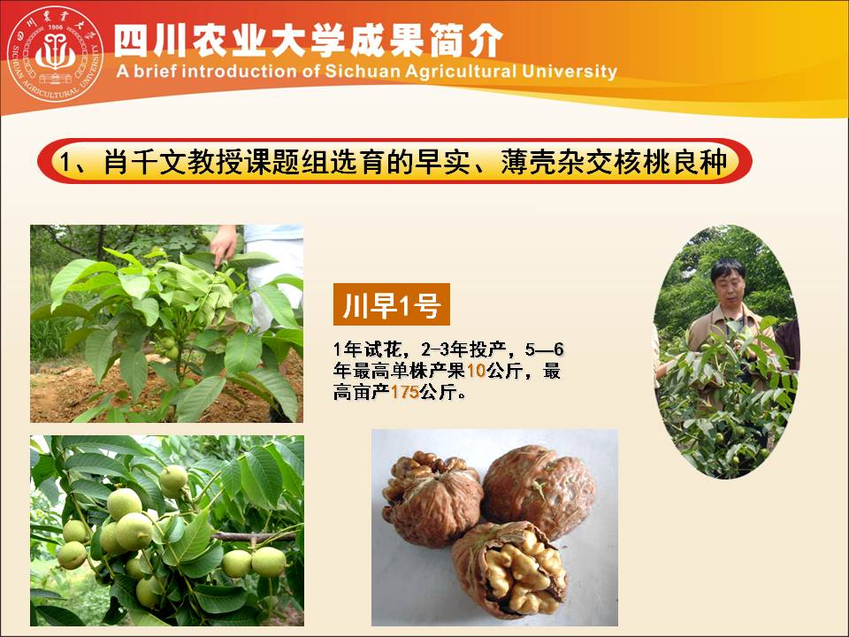 美狮贵宾会ms092